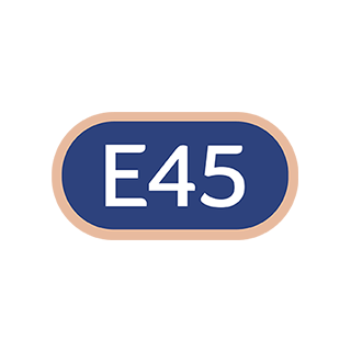 E45 Logo